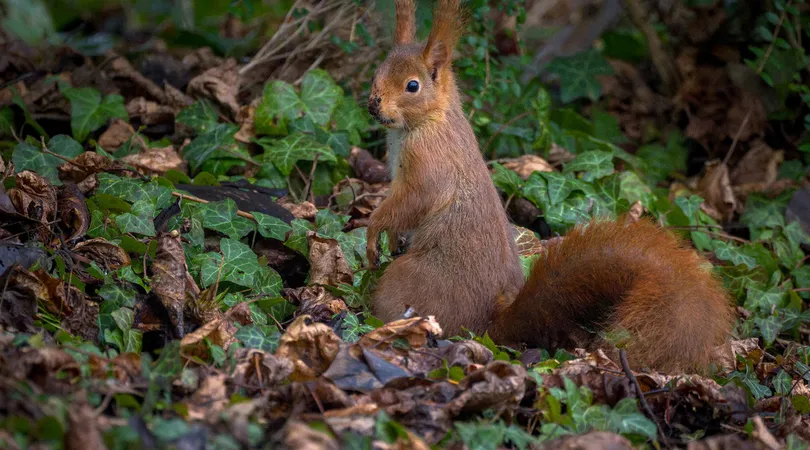 Concours photo « Nature sauvage à Paris » : à vos objectifs !