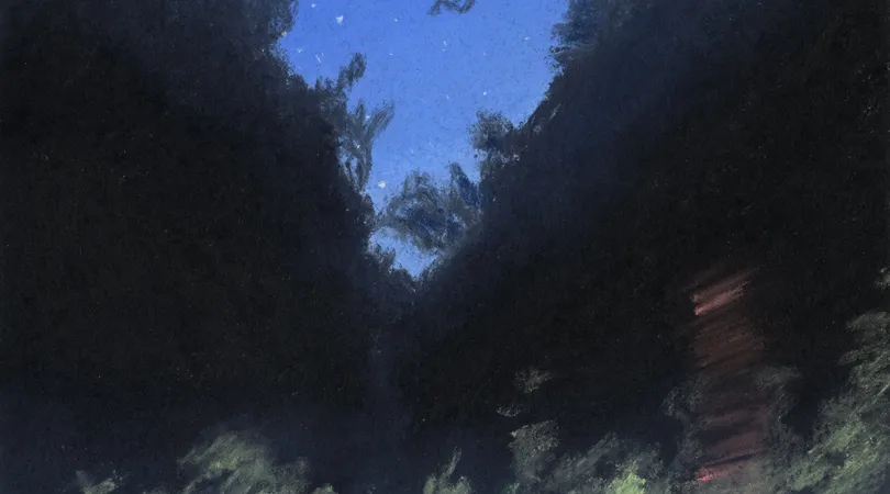 Exposition : Itinéraire nuit par Alix Aulagnier