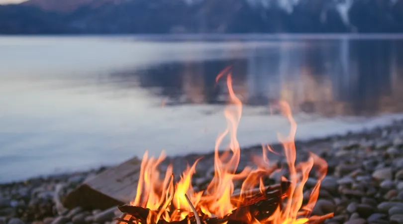 La Manufacture Vocale : concert FORZA IV