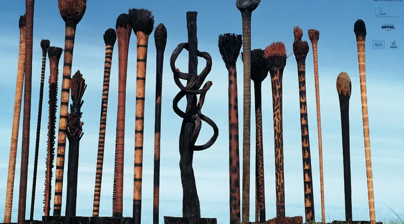 Saison Brésil-France 2025 : Exposition « Le Cri pour la Planète, Hommage à Frans Krajcberg »