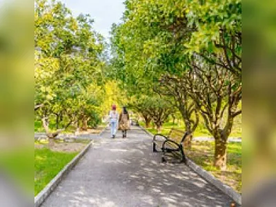 Visite guidée : La collection d'agrumes du Palais Carnolès