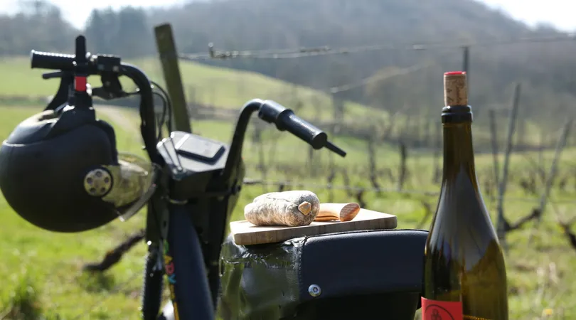 Partez en mobylette à la découverte des vignes