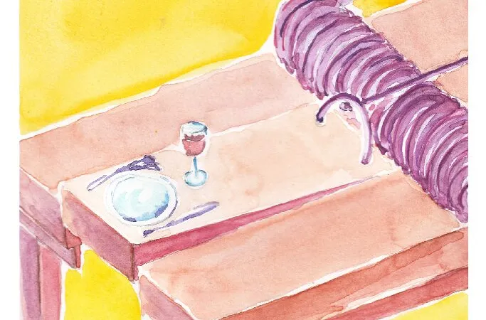 Théâtre « Le diner de cons »