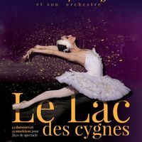 Le lac des cygnes