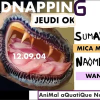 Jeudi OK x Kidnapping