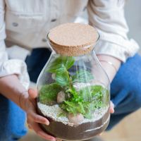 Composez votre terrarium