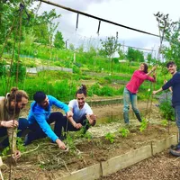 Devenez un jardinier permacole sur une journée