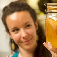 Fabriquez votre propre Kombucha