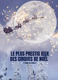 Le grand cirque de noël