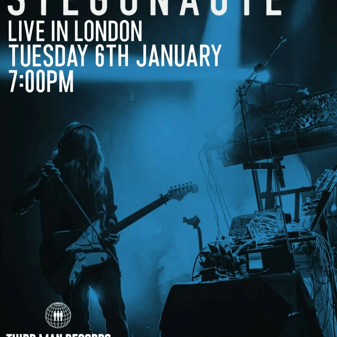 Black Rainbow Collective: Stegonaute