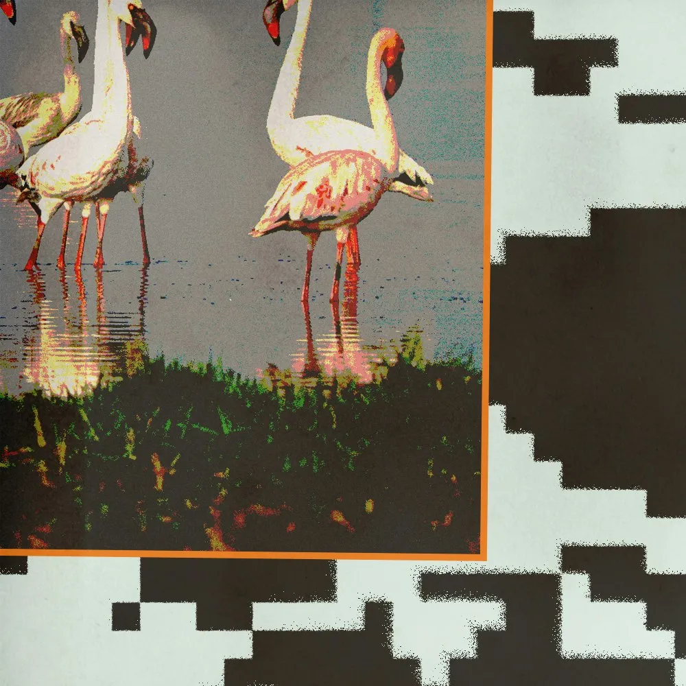 Cutty Shark / Comafields / NUKIE