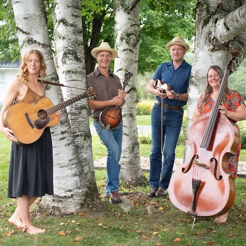 Foghorn Stringband (USA)
