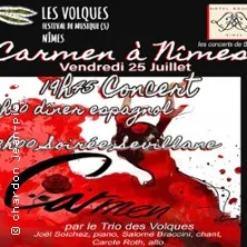 Affiche de Concert autour de Carmen de Bizet