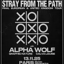 Affiche de Stray From the Path