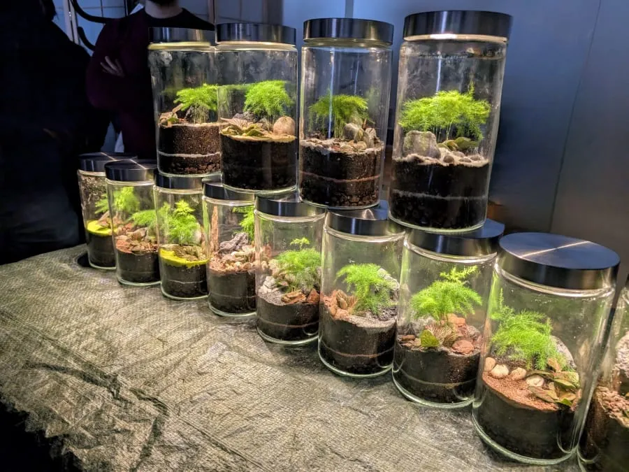 Atelier Terrarium lumineux petit format à Paris 20ème