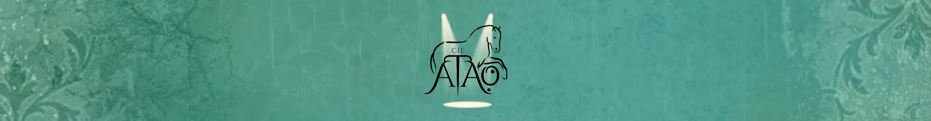 Spectacle équestre 25/07