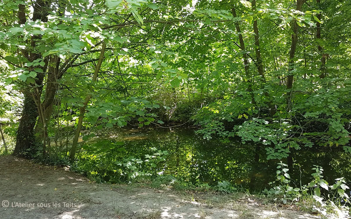 Balade-ecriture - Les petits sentiers du bois de vincennes
