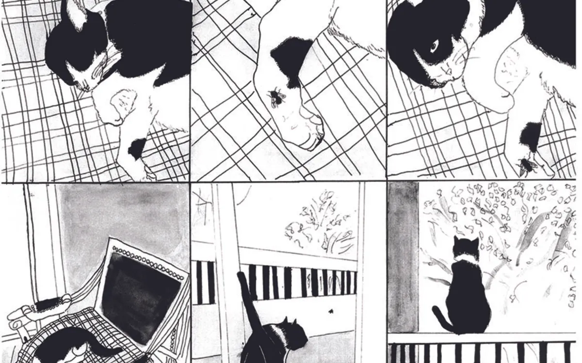 Exposition BD : concours scolaire du festival d'Angoulème 2024