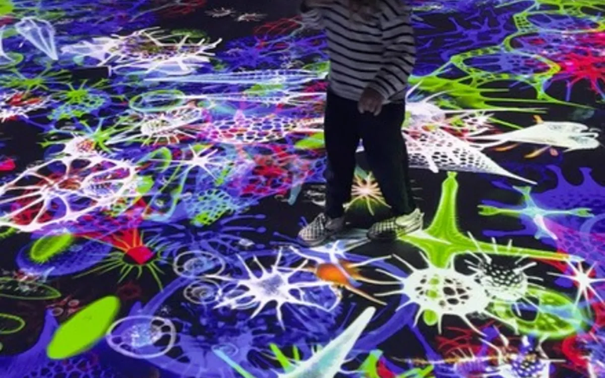 Lectures LSF/FR au Musée en Herbe pour l'exposition "Digital Abysses"