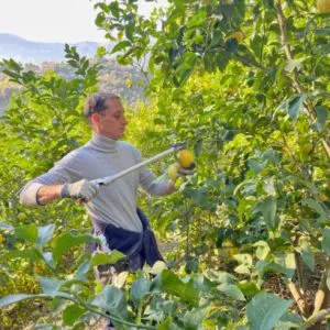 La Ferme des citrons : Visite guidée avec Goûter