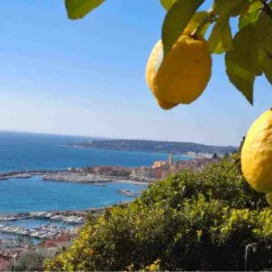 Randonnée du Citron