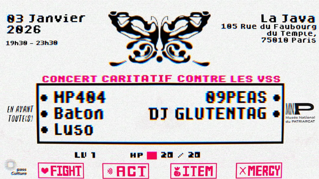 Elles & Eux 00.2 (Concert caritatif luttant contre les VSS)