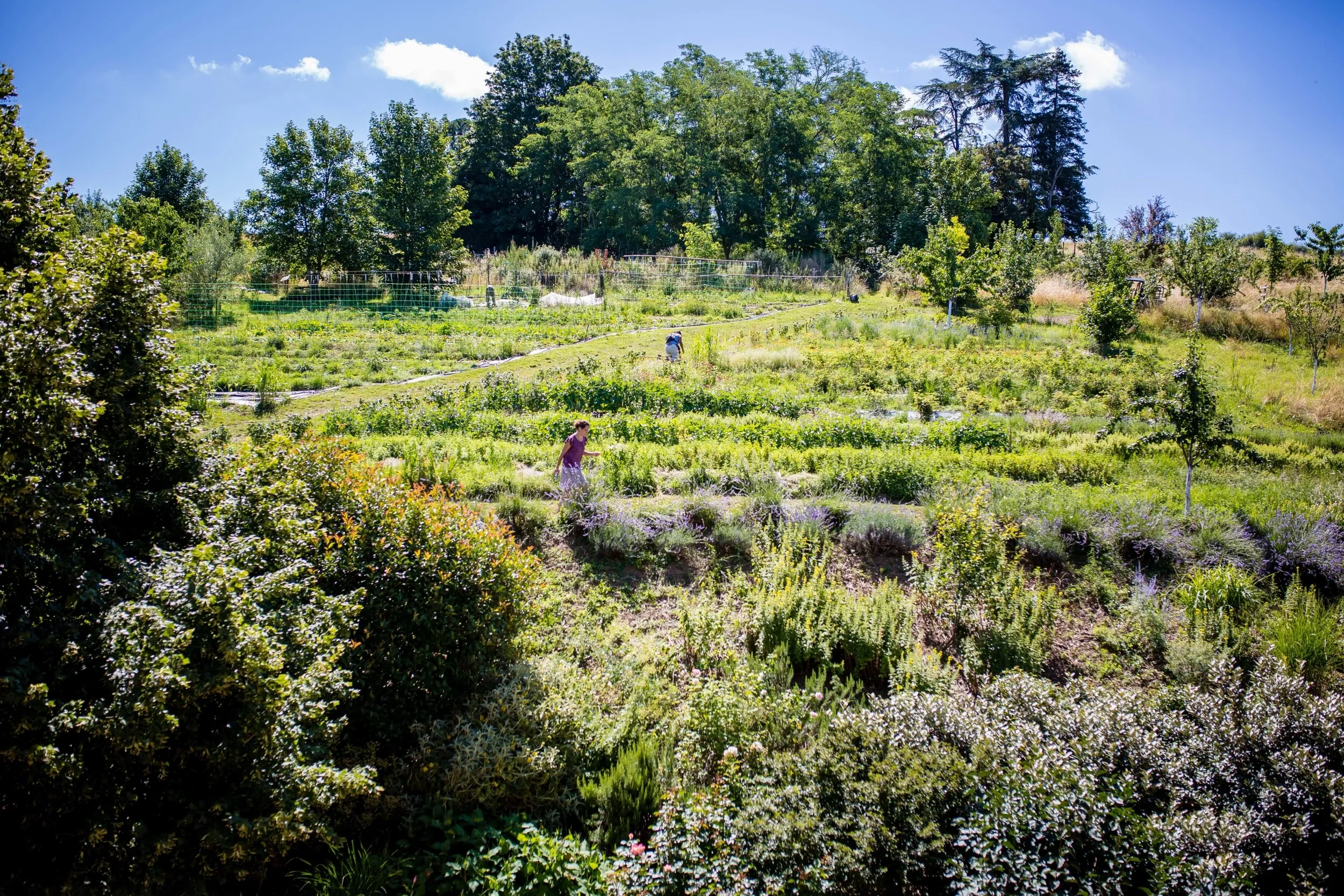 Initiez-vous à la permaculture sur 2 jours