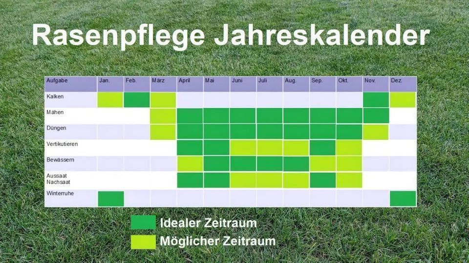 Wann können welche Arbeiten beim Rasen gemacht werden? Rasenpflege Kalender für das ganze Jahr 