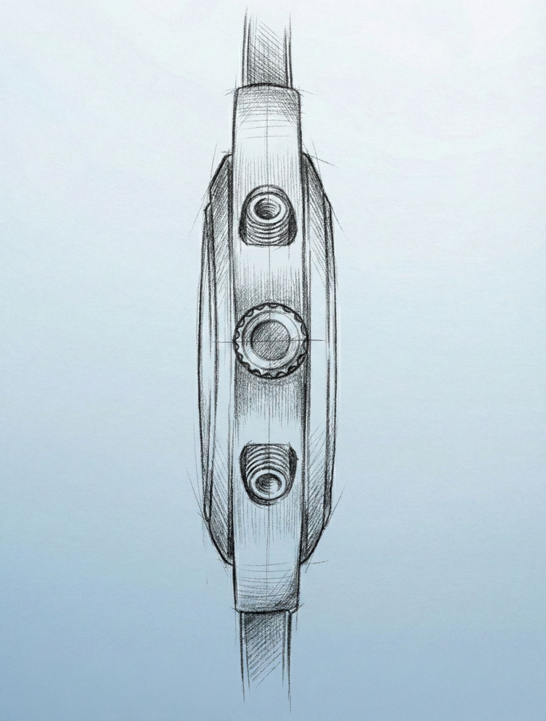 Fractional luxury watch ownership experience