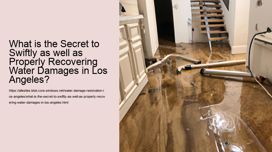 What is the Secret to Swiftly as well as Properly Recovering Water Damages in Los Angeles?