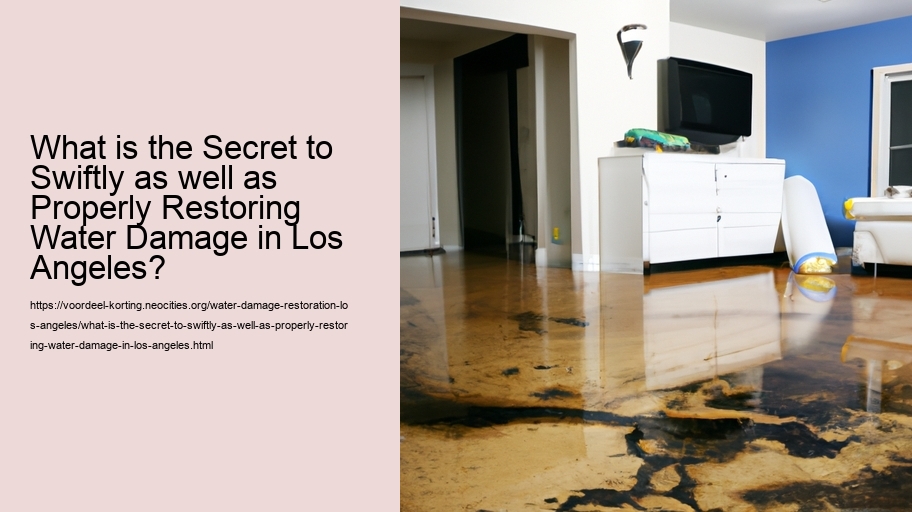 What is the Secret to Swiftly as well as Properly Restoring Water Damage in Los Angeles?