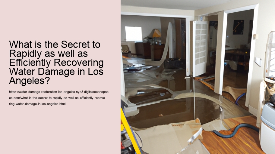 What is the Secret to Rapidly as well as Efficiently Recovering Water Damage in Los Angeles?