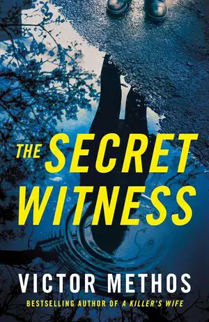 The Secret Witness Cover