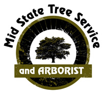 Mid State Tree Service & Arborist