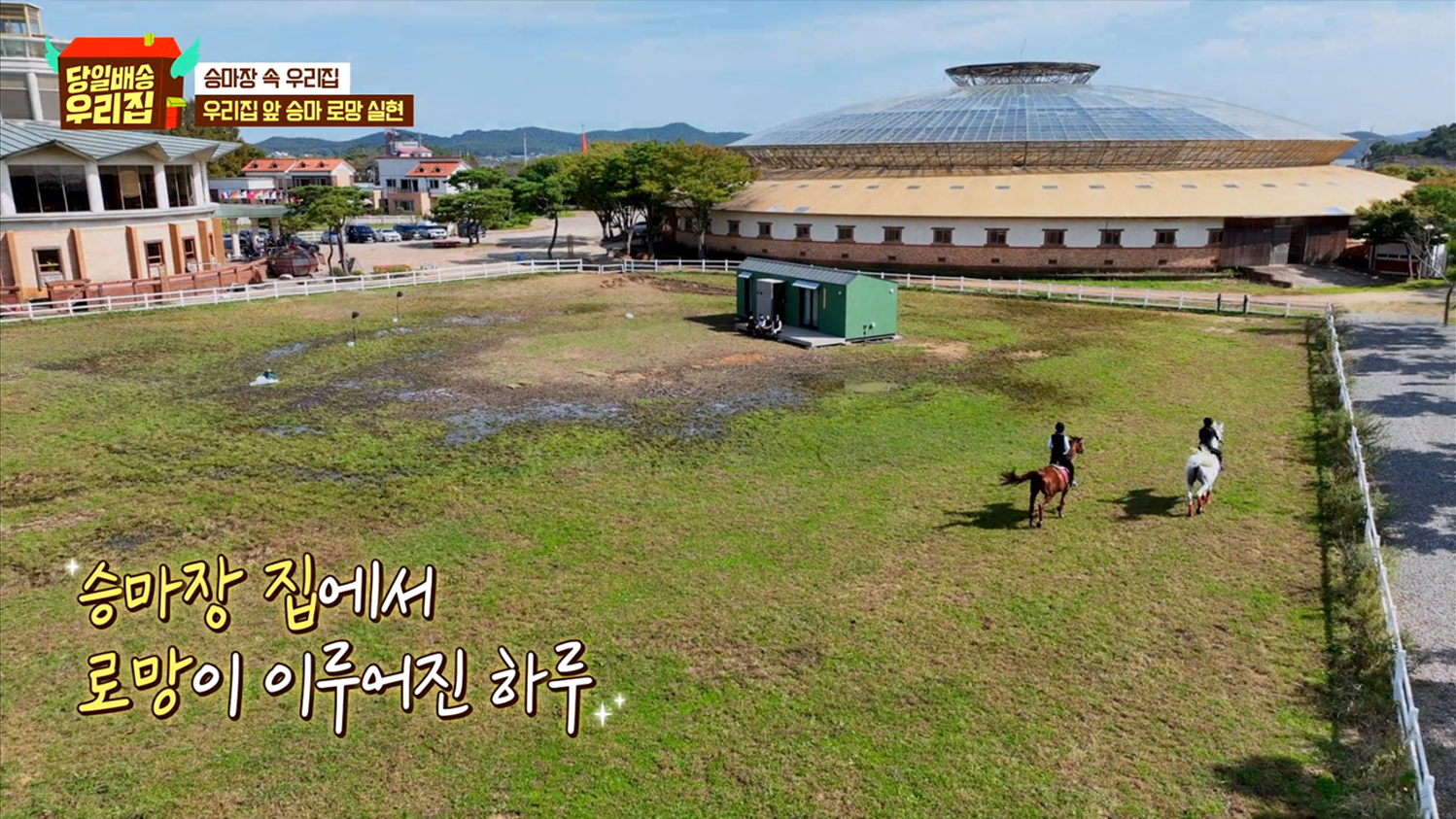 초원 위로 배달된 낭만, JTBC <당일배송 우리집> 속 웨이비룸 '그로브(Grove)'