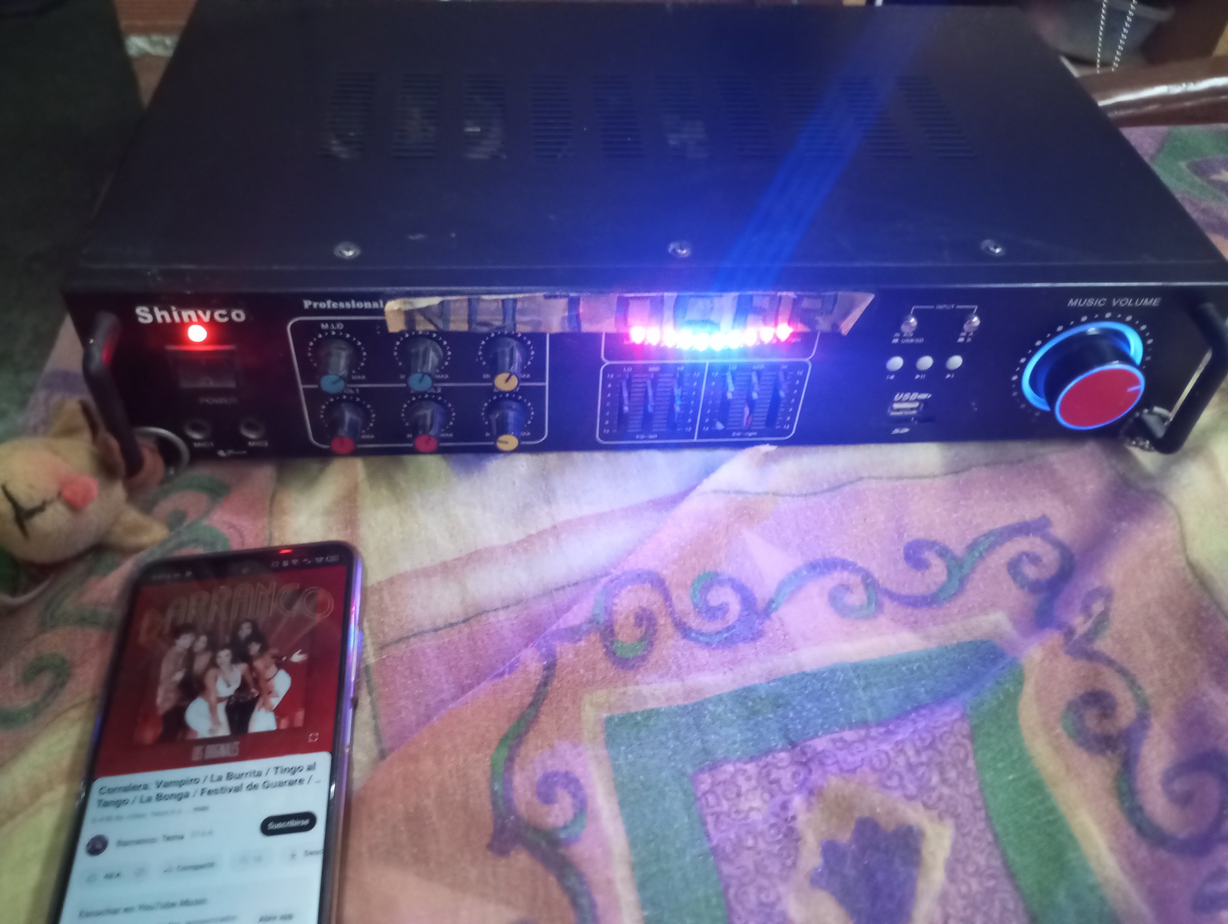 PLANTA DE SONIDO CASERA_0