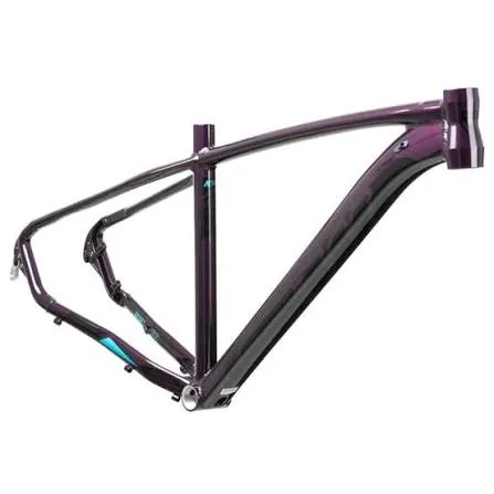Cuadro de bicicleta de montaña GW Rin 29 Púrpura_0