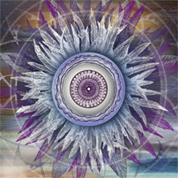 image_1_new