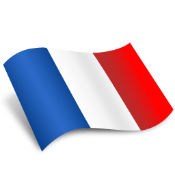 File:French Flag Icon.png