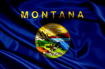 File:Montana falg small.jpg