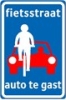 File:Fietsstraat-Nl.jpg