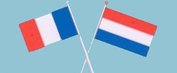 File:Fr-Nl flag.png