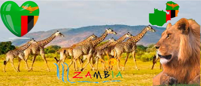 File:Zambia.png