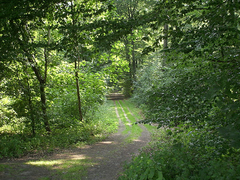 File:Schotterweg.jpg