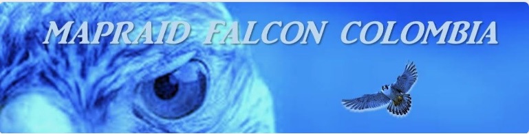 File:Falcon.jpg
