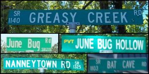 NC Street Name Signs.jpg