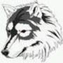 Thumbnail for File:Avatar lonewolf147.jpg