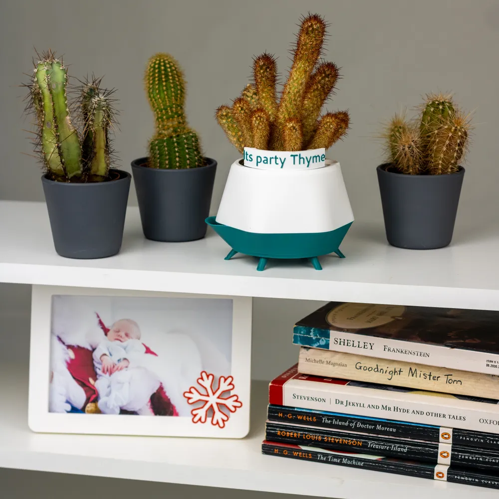 Hex Planter Small