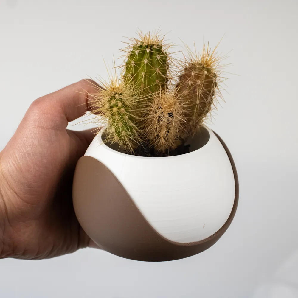 Tulip Planter