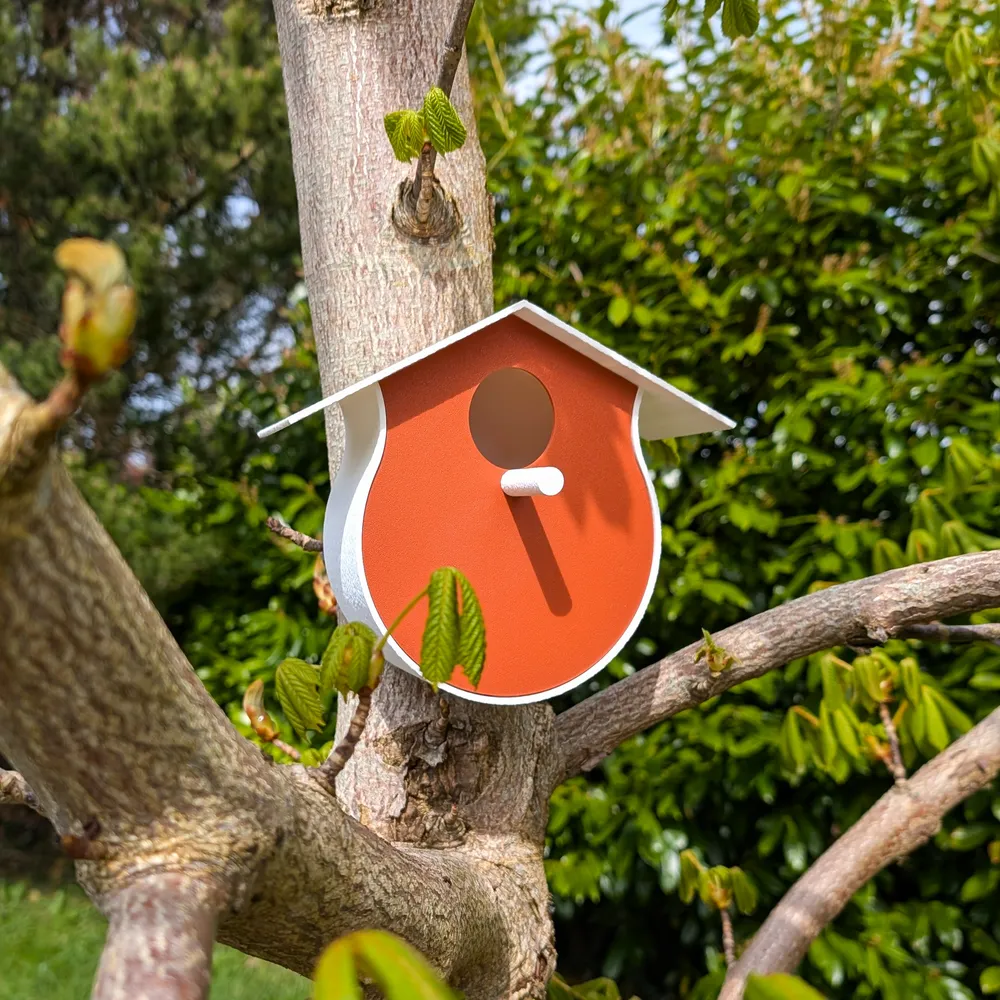 Tweety Bird House